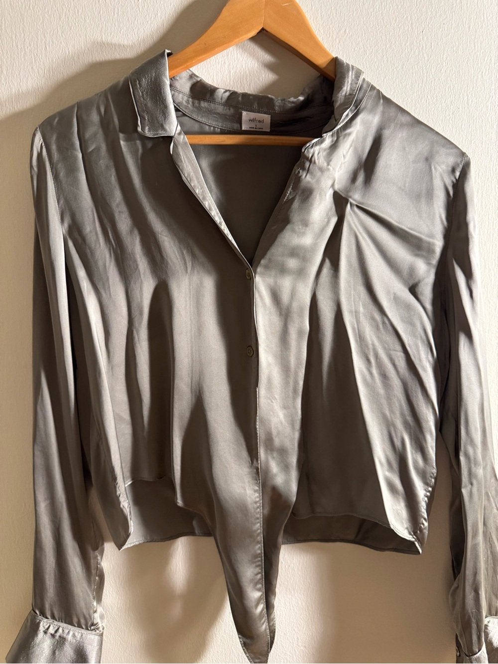 Aritzia Sage Button-Down Blouse